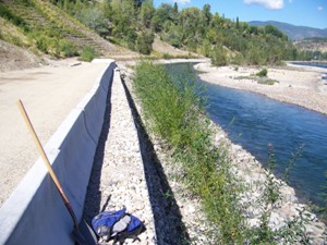 Riverbank Section 2, August 2008