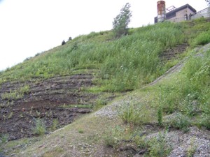 Hillside Unit 2, August 2008