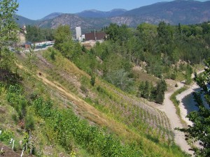 Hillside Units 2 and 3, August 2008