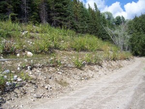 Hillside Unit 4, August 2008