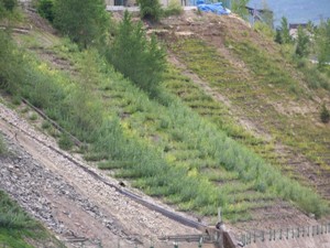 Hillside Unit 1 North, August 2008