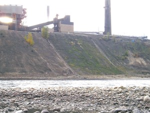 Hillside Units 2 and 3 and riverbank in 2004 (pre-treatment)