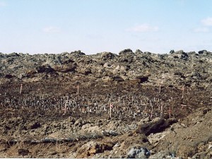 Depressional area in upper portion of swale, with live staking