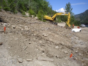 Brush layer planting with excavator in Unit 4, spring 2006