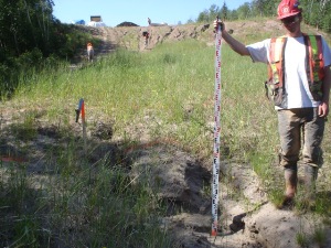 Overview of site in June 2006, pre -treatment