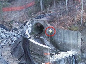 coffer dam