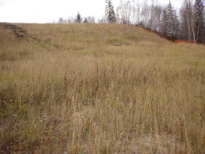 Overview of T-Pit Hill , October 2007 