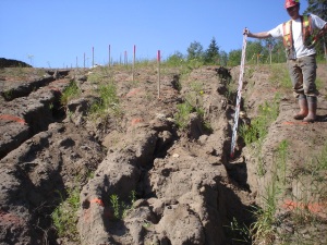 Gully formation on steeper parts of slope, June 2006 