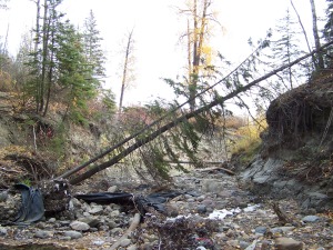 creek channel October 2007