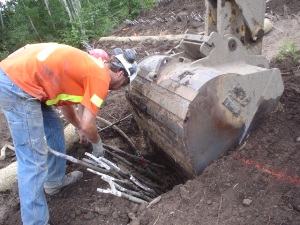 Machine-assisted planting of brush layers, June 2006 