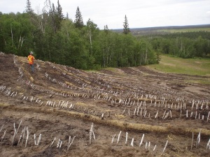 Site after implementation completed, June 2006 