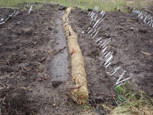 Close-up of installed brush layer and straw wattle, June 2006 