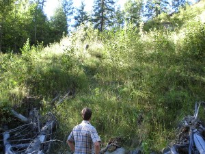 Lower site showing growth adjacent to creek summer 2005