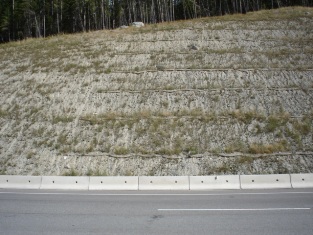 Note area with and without straw wattles application, September 2005 