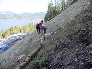 Installation of straw wattles and brush layers