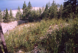 Lower site July 2004