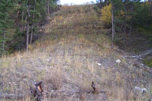 Site September 2007