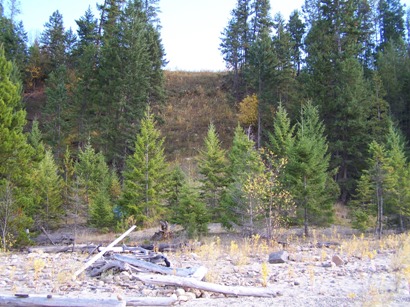Site September 2007
